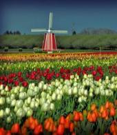 ��������� ��������: �������� ������: �������� ��������