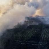 ��� ������� �������� ���������� ��������