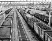 �� ������� �������� ����������� �� ������� ���� �� ������