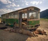 �������� ������: ��������� ���� � ����� �����