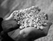 � ������ ���������� �������� ���������� �������� ��-�� ���������