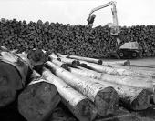 ������� �������� ������� "������ ����������" ���������