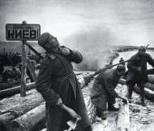 ������: ����-2016: ����������� ��������������