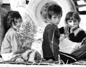 �������� � ������ �������� �� ���������� ������ "������� ����� �� ������"