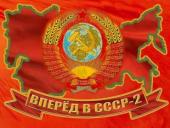 Публицист Анна Чукарина: Левая коалиция стремится к коммунистическому возрождению