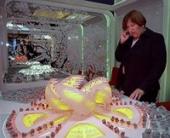 ��� ������ ���� ��������