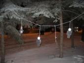 ������� ���������� ������������ � ����������� ����� �����