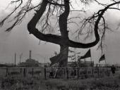 � ���������� 64-������� ����������� �� ����� ����������� � ������������ �������