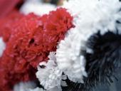 �������� �������� ������� �������� �������, � ����� �� �������� ���������� �����