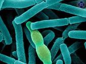 � �������� ������� ���������� ������� � ����� � ������������ � ��������������