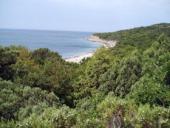 ��������� ���� ����� �������: �������� ������� ������� �����������