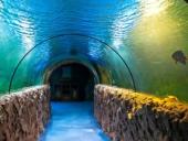 ������������� ���������� ������� ��������� ����������� ����������� � �������������� ���������� "���������"