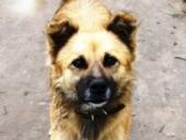 ��������� �� "����" ����� ���������� ���� �� ������ ������� ������ �����