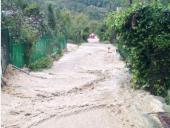 � ������� ������ ����� ������ ������� �������