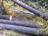 � ���������� �������� ���������� �������, �������� �� �������� �����������