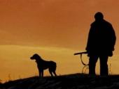 ���������� ��������� �� ������� ����� ���������� �������� � ���������� ���� �����