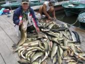 ������������� ������ ������ �� �����