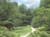 ������������ �������� ���� �� ����������� ������� ���������