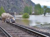 � ��������� ���� ��-�� ���������� ������������ ����� 24 ����� �������