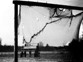 � ���������� ������������� �������� � ��-2018 ��������� ������ �������� ������� ������