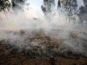 �������� ������ � �������� ������� ����� ��������� ��� ������ ���� 2010 ����