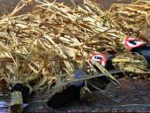 ��������� ����� �������� ���������� ������� � ������� ������� ��� ������ ������ ����������