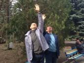 �������� �� �������� ������������ ������������� ������ � ������