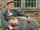 ��������� ����