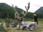 � ��������� ��������� ���������� ������� 14 ������� � ����������� �� ��������� ����