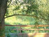 ������ �������� ������ ������ ��������� �� �����