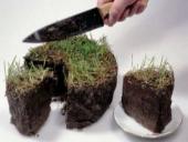 ������������� ����� ��������� ��������� ��� ������� � ���������� �������