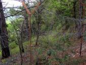 ������� ��������� ������ ������������ ���� �������� ��������� ����� ���������