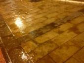 ������ ����� ���� �� ������ ����� ����� ������ ��������