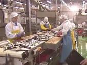 ��������� ������ ���������� ���������� ����������� ������������ �������������