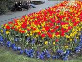 �� ������� � ���������� ������ �������, �������� �� ���������� �� ����� ��������