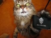 � ���� ������������� �� ������� ����������� ����� ������������� ��� � ���������