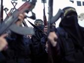 ���������� ������������ �� ������ ����������� ���������� �������� �� 17 ���