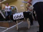 ������ ������� �������� ������ ������� ��� �������� �� ���������