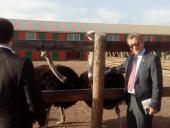 �������� ���������: ����������� ����� ������������ � � ����� ��������� ��������, ���� �� �������