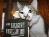 �������� �� ���������� ��������� ����� ���: ��� ��������� ����