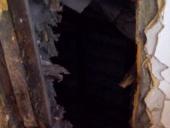 ������� �������������� ���� ��������� ����� ���������� ��������� ��������