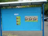 ������� ���������: ����� ���� ��������, ��������� ������� �� ���������