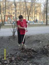 ٸ����� (���������� �������): ������������ ���������.