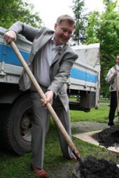 ����������, ��������� � �������� ������������ � ������������ ������ ������������