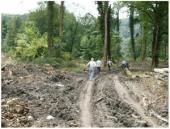 ������ ����������� ��������, ��� ������ � 29-� �������� ���� ������������� ����������, ������� ���������� ���������������� ������ ��� ���������, ����� ������������ �������� ������������ �������������� ������������