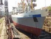 ���������� ����: ������������ ����������� �����������