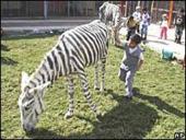 ����� ����������� � ���� � ���� ��������, ��������������� ����������� � �������������� � ���������� ���������