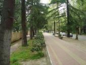 ����: ���� ������� ������ ��������� �������� ����� ����������� �� �����������