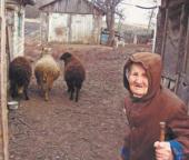 ������� ����������� �����������: ������� ��� �����. ��������� ������� � 93-������ ����������� ���� ����, ������� ������ ������ ��� ����