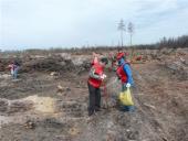 ��������� �������: ���������� �������� ��������������� ��������� � ������� ���� ���